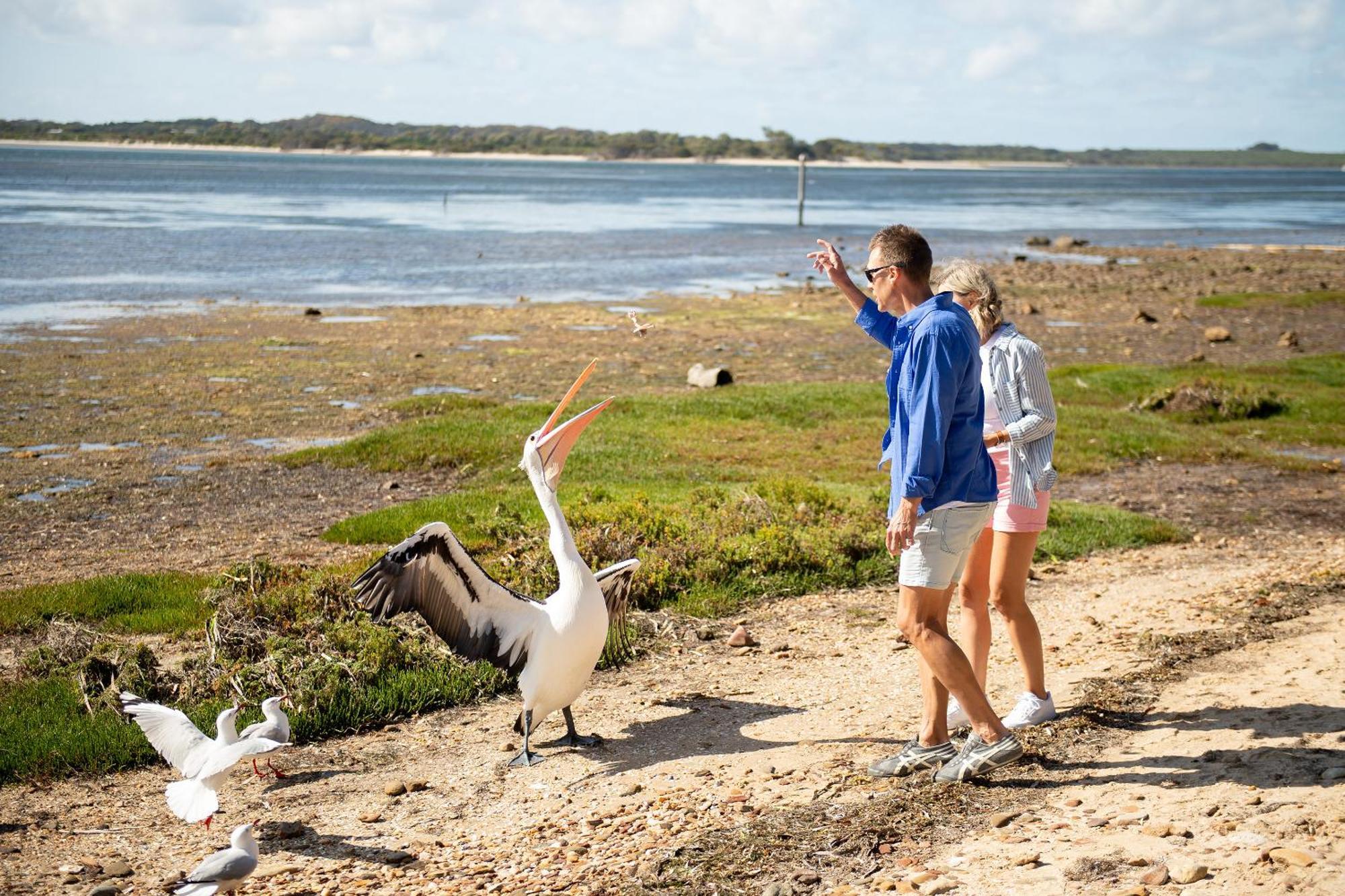 Mercure Kangaroo Island Lodge American River Exteriör bild