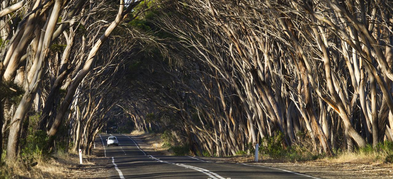Mercure Kangaroo Island Lodge American River Exteriör bild